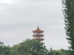 -深圳仙湖植物园