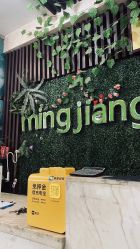 点击看大图 -MJ名将造型