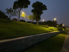 -羊山湖公园
