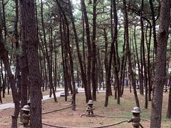 -林海公园