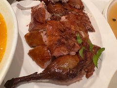 -圆苑(金茂店)