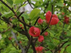 -元大都城垣遗址公园