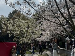 -杭州少年儿童公园