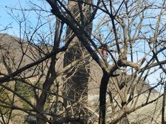 -妙峰山风景名胜区