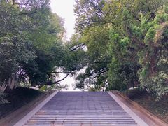 -菊花台公园