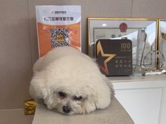 -瑞鹏宠物医院·骨科·猫科·内科(第一中心)