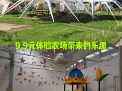 -前小桔亲子创意农场·草莓采摘·露营烧烤