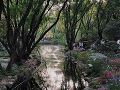 -上海共青森林公园