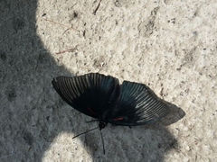 android_upload_pic-大明山自然探索公园