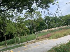 -昆山城市生态森林公园