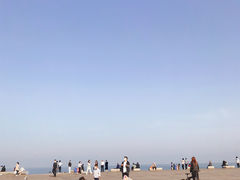 -刘家湾赶海园