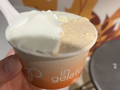 -Dip in Gelato(富民路店)