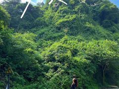 -午潮山国家森林公园