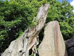 -宝岩生态观光园