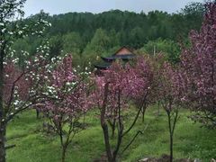 -参仙谷生态旅游度假区
