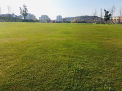 -南京邮电大学(仙林校区)