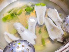 -章记正宗南岗鱼蛋火锅