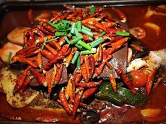 -探鱼·鲜青椒爽麻烤鱼(广州花都来又来店)