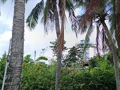 -白沙门生态公园