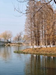 -玄武湖景区-情侣园游乐场