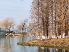 -玄武湖景区-情侣园游乐场