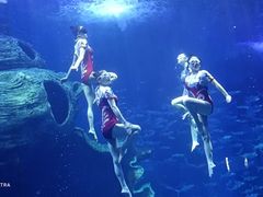 -多彩贵州城极地海洋世界