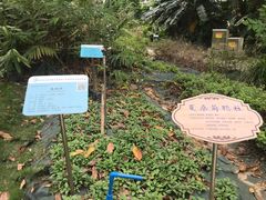 -广东中医药博物馆