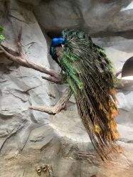 -Zoolung Zoolung动物主题公园(海信广场店)