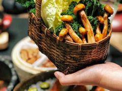 -蘑界·野生菌火锅(深业上城店)