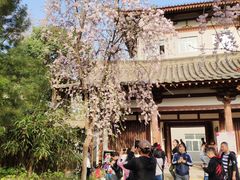 -西安青龙寺遗址景区