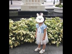 -广州白天鹅宾馆