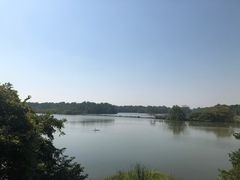 -大湾区中央湿地公园