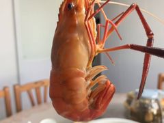 -巴城阳澄湖小芳农家乐