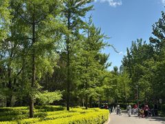 -燕郊植物园