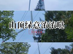 -汕尾风车岛