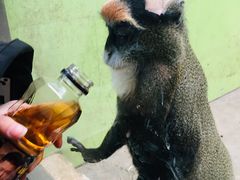 -石家庄市动物园