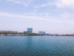 -大兴滨河森林公园