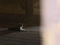 -石炮台公园