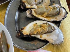 -大湾区中央湿地公园-十九涌