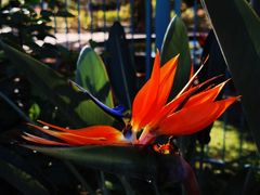 -国家植物园南园