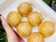 -新雅粤菜馆(南京东路店)