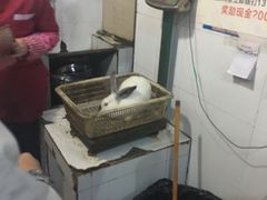 可怜的兔子-东吴霸王兔(松青路店)