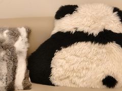 -中粮·祥云小镇