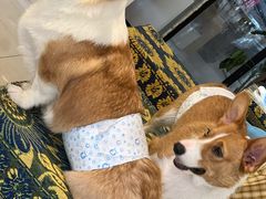 -平行世界·猫咖(首经贸店)