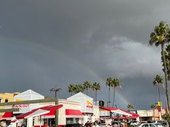 -In-N-Out Burger(LAX)