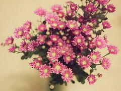 -爱尚花坊(大林路店)