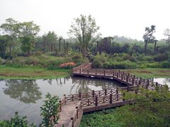 -桤木河湿地公园