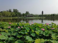 -西海子公园