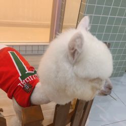 -Moni星球萌宠·小马宝莉·灵蛇·高端高阶全萌宠互动体验俱乐部(红豆国际广场店)