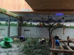 -西安秦岭野生动物园